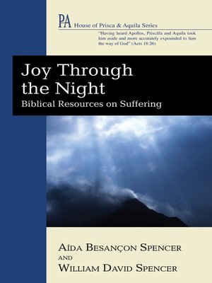 cover image of Joy Through the Night